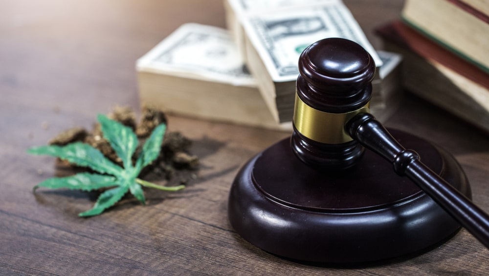Drug Lawyer