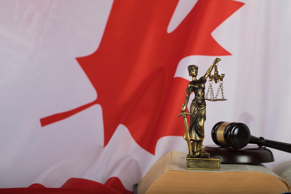 Understanding the Necessity Defence in Canadian Criminal Law