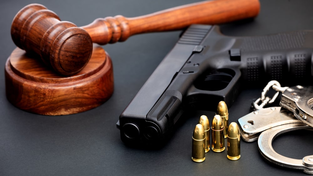 Canadian firearm licence card for Possession and Acquisition Licence (PAL)