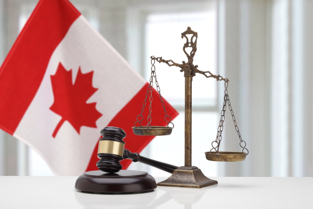Guilty Plea Process